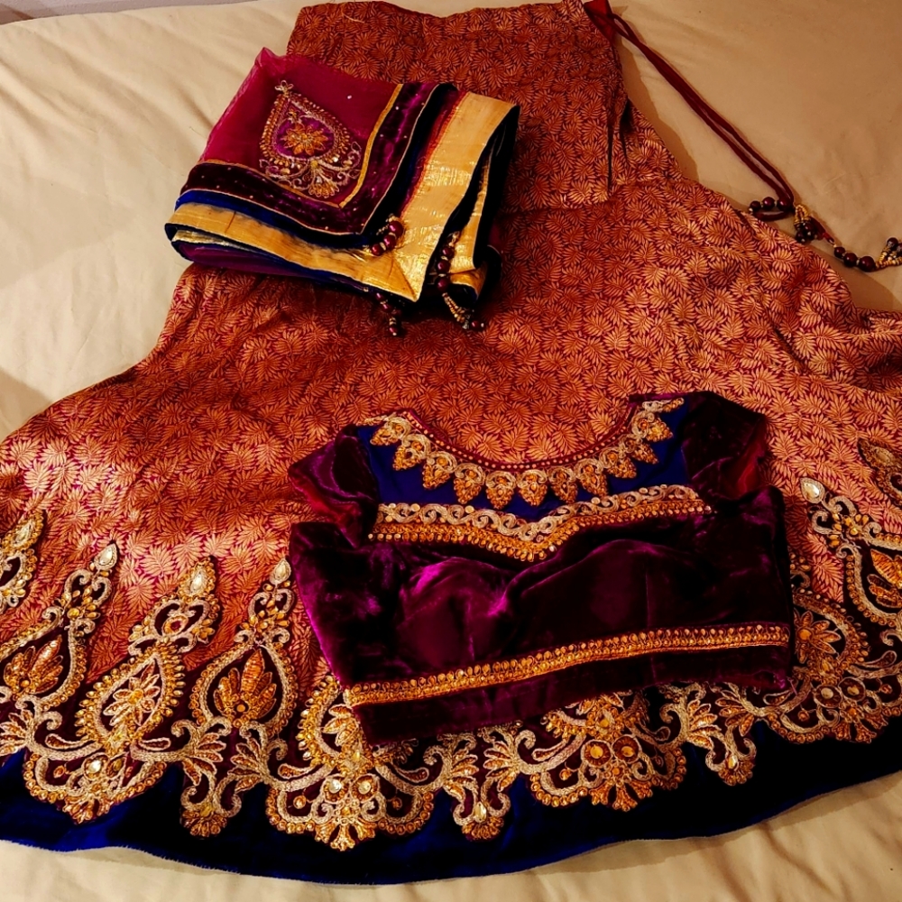 Stunning Lehenga Sari Outfit
